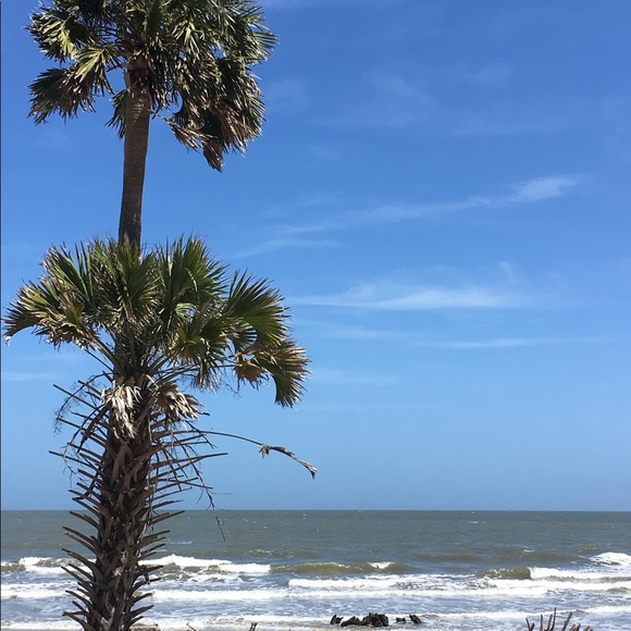 Meet your Posher, Karen - Picture 5 of 6